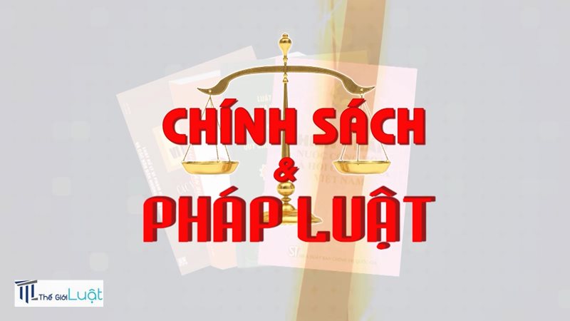 Mua bán đất không có sổ đỏ - Rủi ro khi mua bán đất không có sổ đỏ