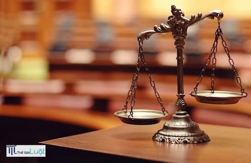 Thủ tục thành lập công ty tnhh - Phân biệt công ty TNHH một thành viên và hai thành viên trở lên