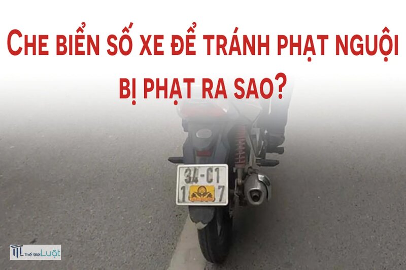 Biển số xe bị phạt nguội - Bước 2: Đến đơn vị giải quyết hoặc làm việc từ xa