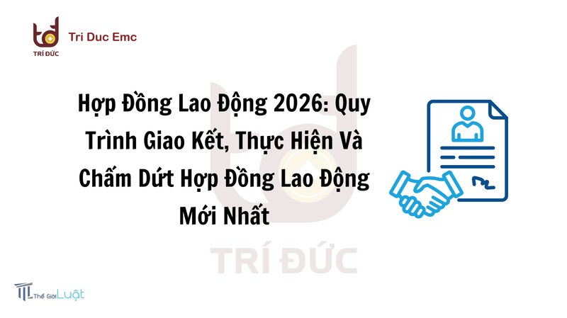 Hợp đồng lao động 2026 - Các văn bản liên quan