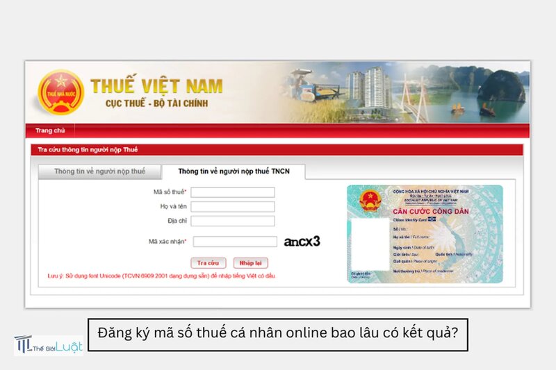 Mã số thuế cá nhân - Thu nhập thấp có cần mã số thuế cá nhân không Mã số thuế cá nhân - Thu nhập thấp có cần mã số thuế cá nhân không