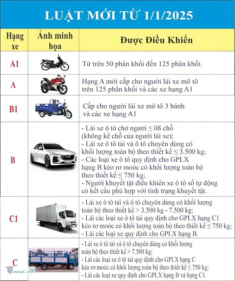 Tra cứu giấy phép lái xe - Các thông tin cơ bản