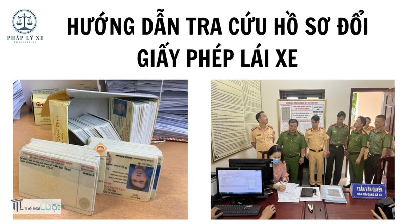 Tra cứu giấy phép lái xe - Tra cứu giấy phép lái xe không ra: nguyên nhân và cách xử lý