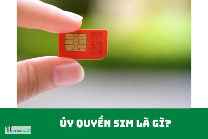 Ủy quyền SIM là gì - Hai nghĩa của ủy quyền SIM